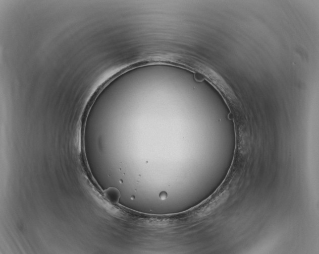 X0000110731036200906191522