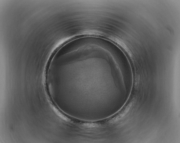 X0000110731037200906191522