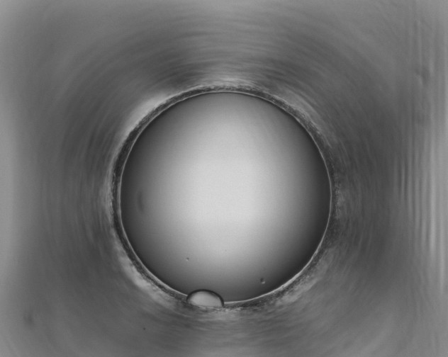 X0000110731038200906191522