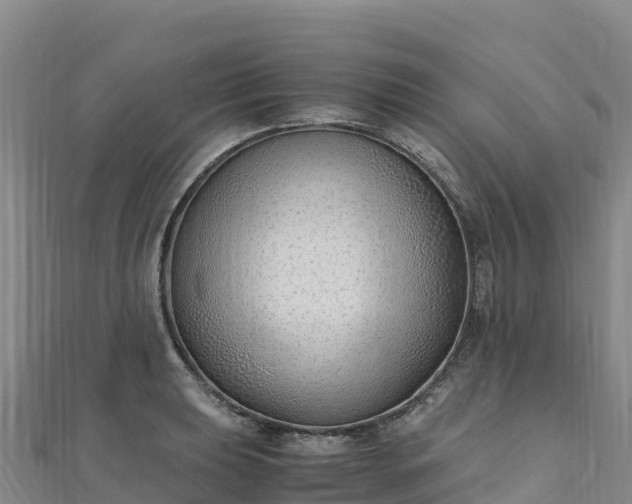 X0000110731039200906191522