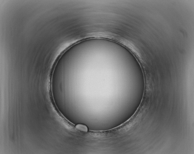 X0000110731040200906191522