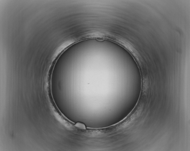 X0000110731042200906191522