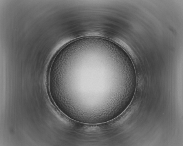 X0000110731043200906191522