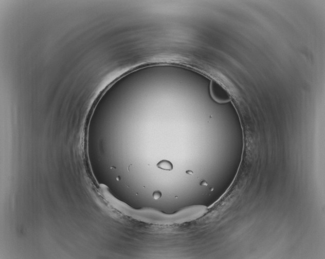 X0000110731044200906191522