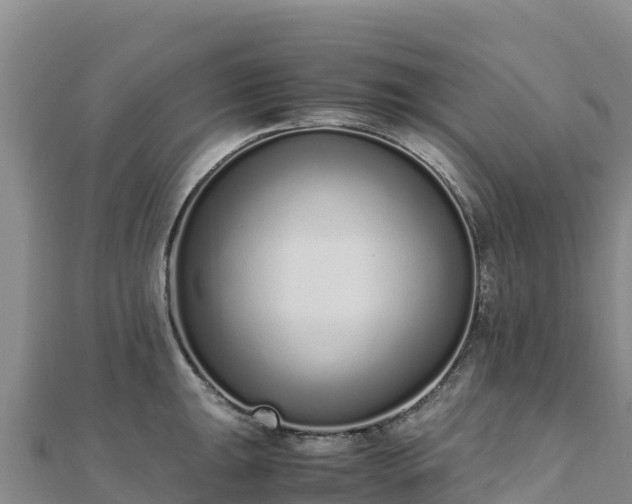 X0000110731047200906191522