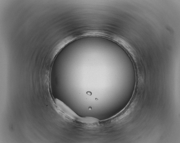 X0000110731049200906191522