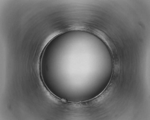 X0000110731050200906191522