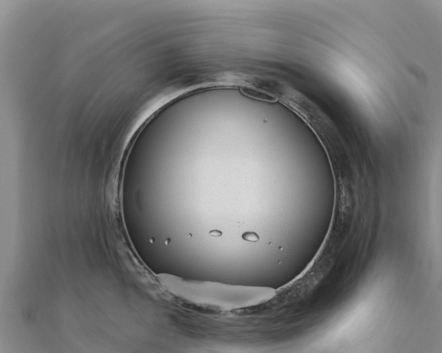 X0000110731052200906191522