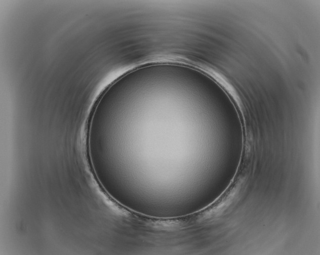 X0000110731053200906191522