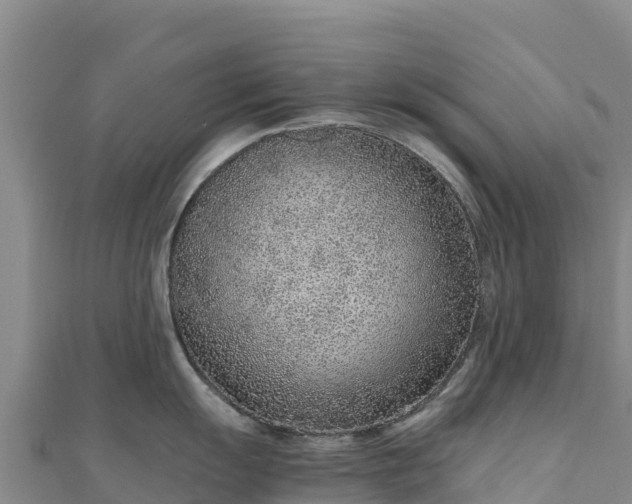 X0000110731055200906191522