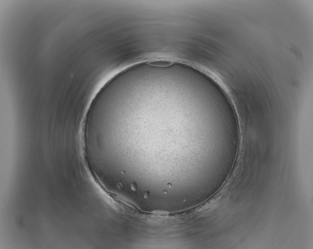 X0000110731056200906191522