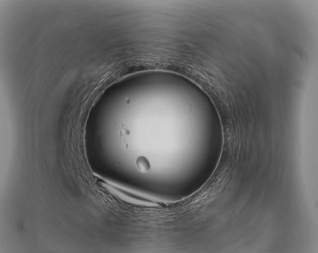 X0000110731057200906191521