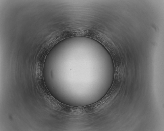 X0000110731058200906191521