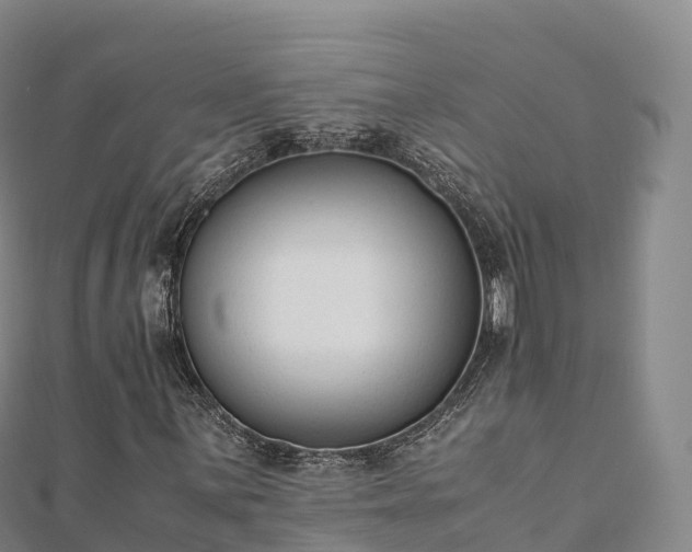 X0000110731059200906191521