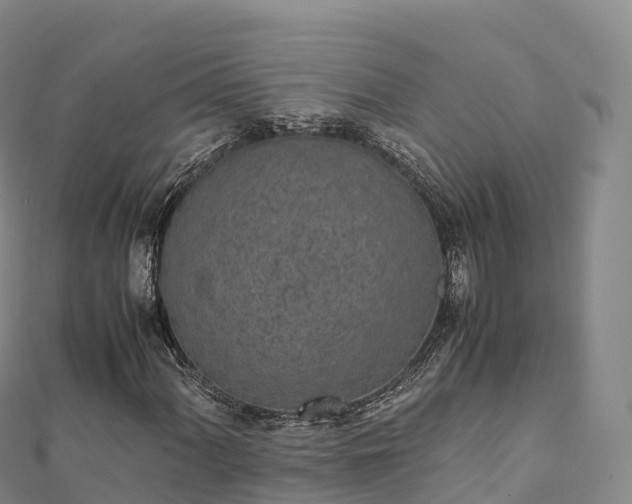 X0000110731060200906191521