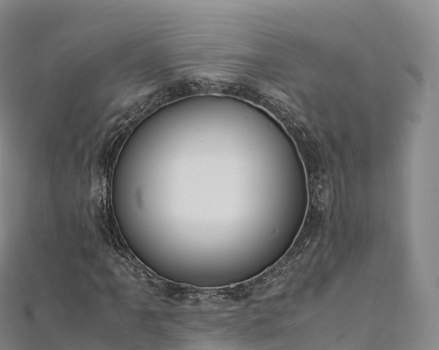 X0000110731061200906191521