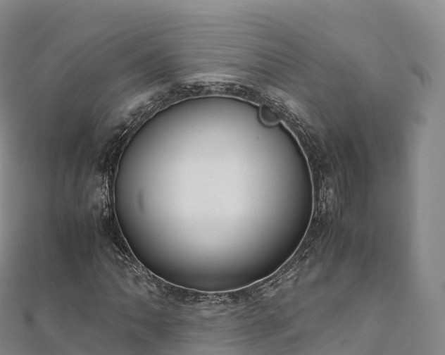 X0000110731062200906191521