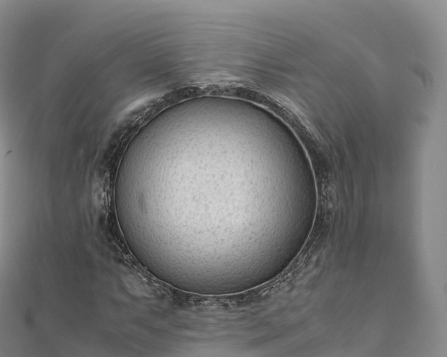 X0000110731063200906191521