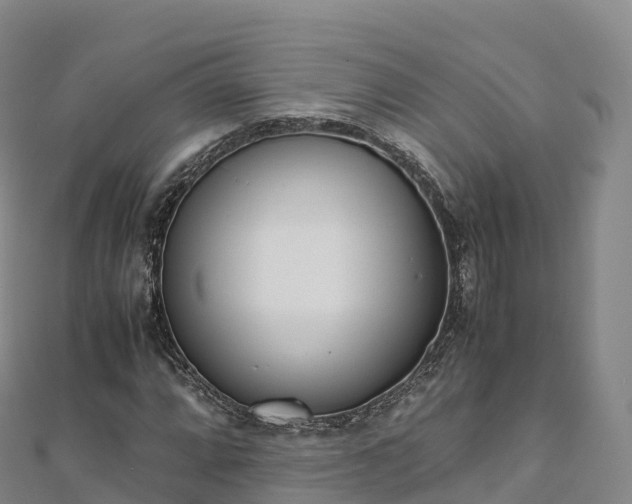 X0000110731064200906191521