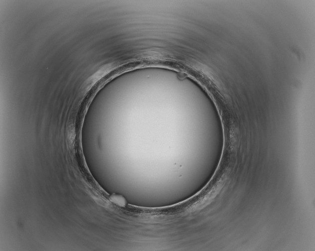 X0000110731065200906191521