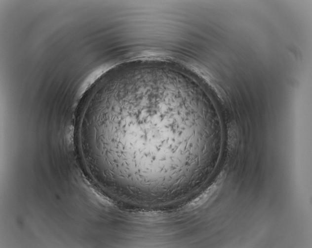X0000110731066200906191521
