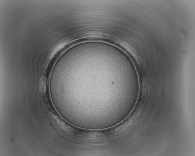 X0000110731067200906191521