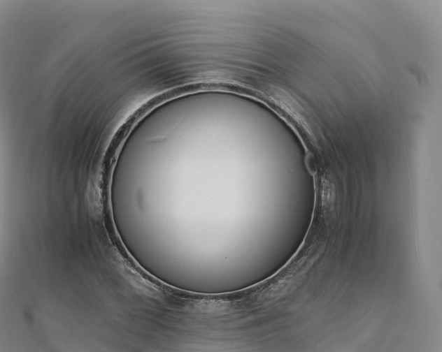 X0000110731068200906191521