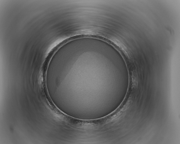 X0000110731070200906191521