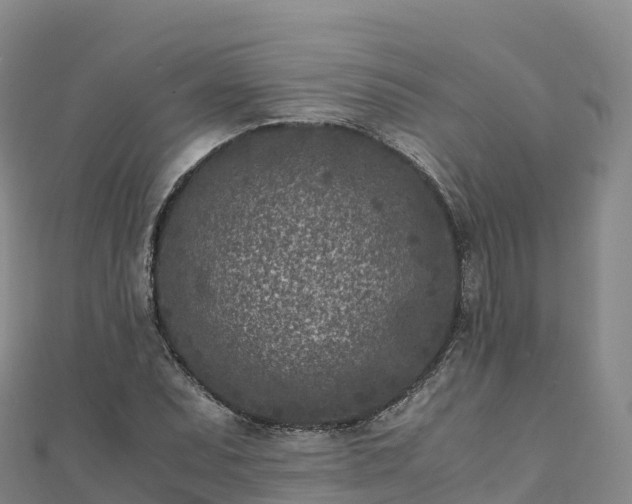 X0000110731071200906191521