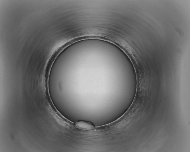 X0000110731072200906191521