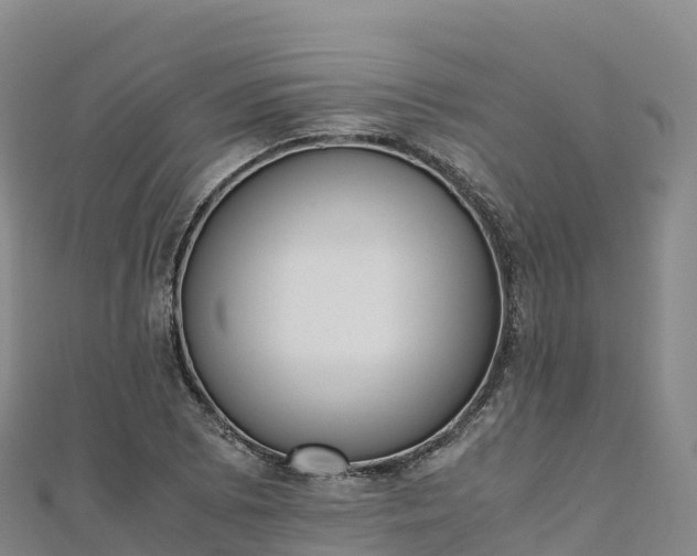 X0000110731073200906191521