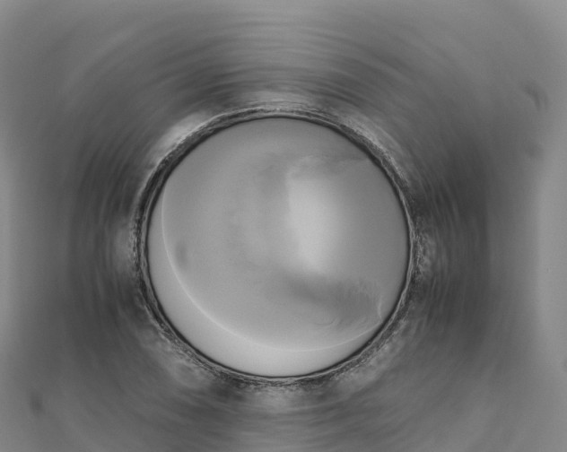 X0000110731074200906191521