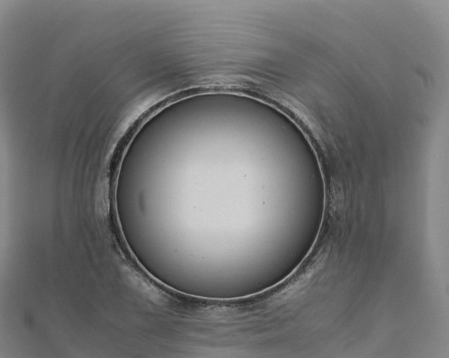 X0000110731075200906191521