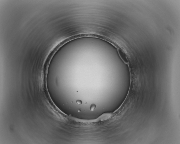 X0000110731076200906191521