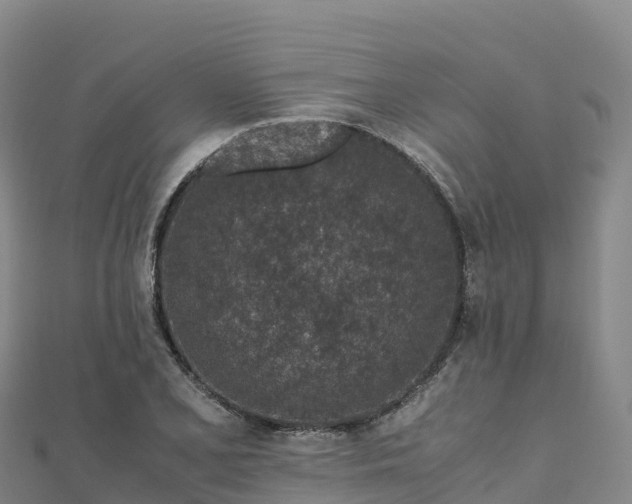 X0000110731077200906191521