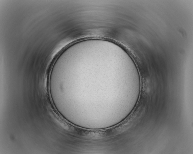 X0000110731078200906191521