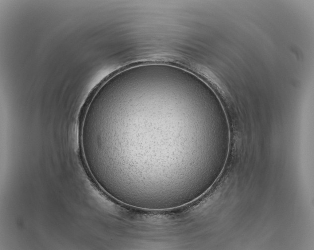 X0000110731079200906191521