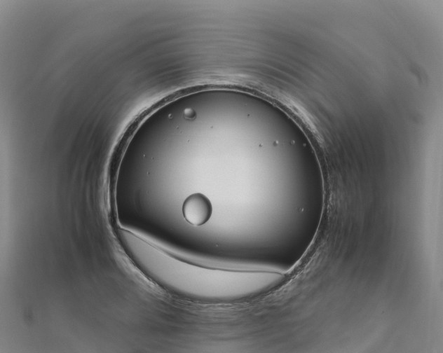 X0000110731080200906191521