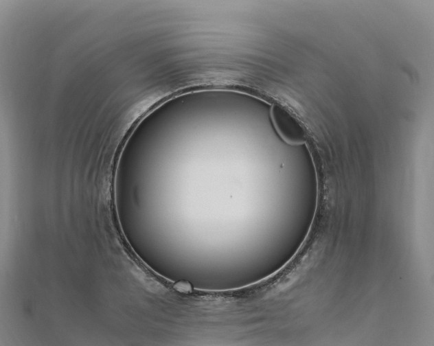 X0000110731081200906191521