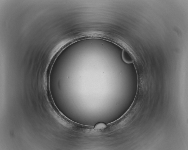 X0000110731082200906191521