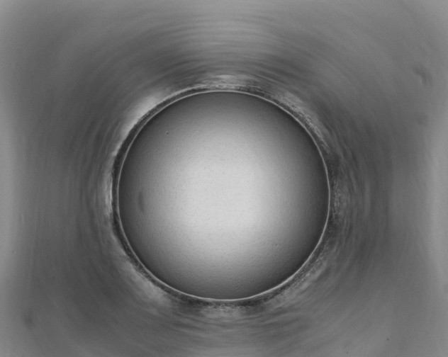 X0000110731083200906191521