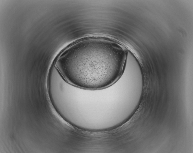 X0000110731084200906191521