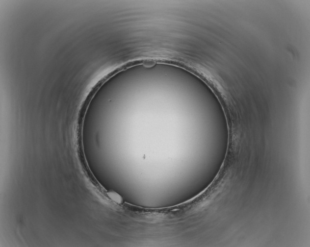 X0000110731085200906191521