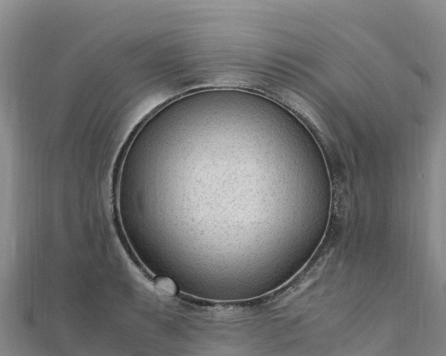 X0000110731087200906191521