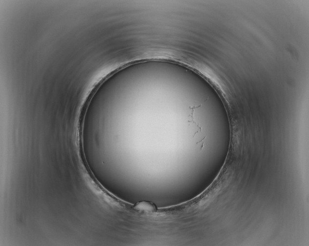 X0000110731088200906191521