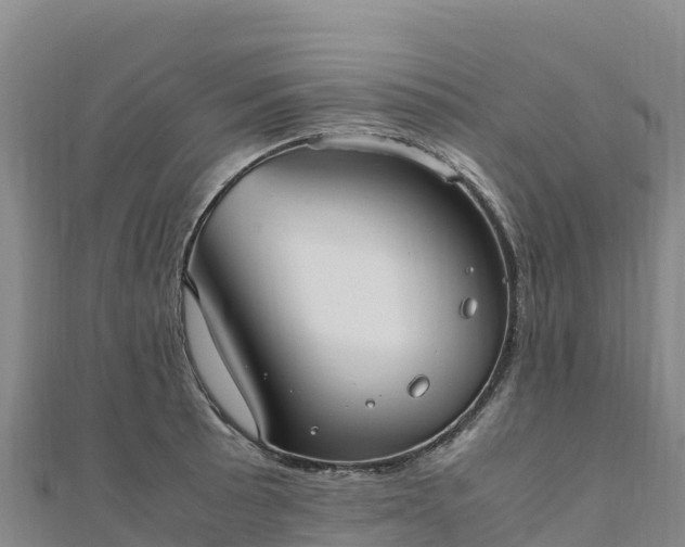 X0000110731089200906191521