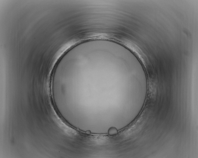 X0000110731090200906191521