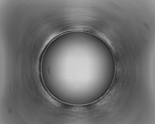 X0000110731091200906191521