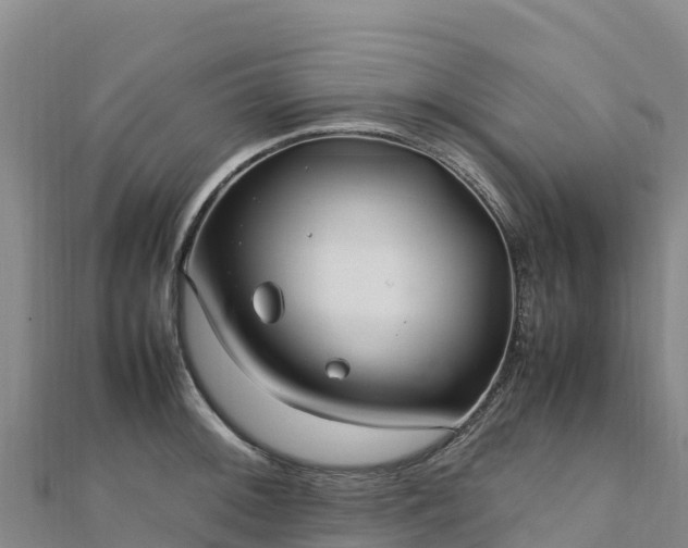 X0000110731092200906191521