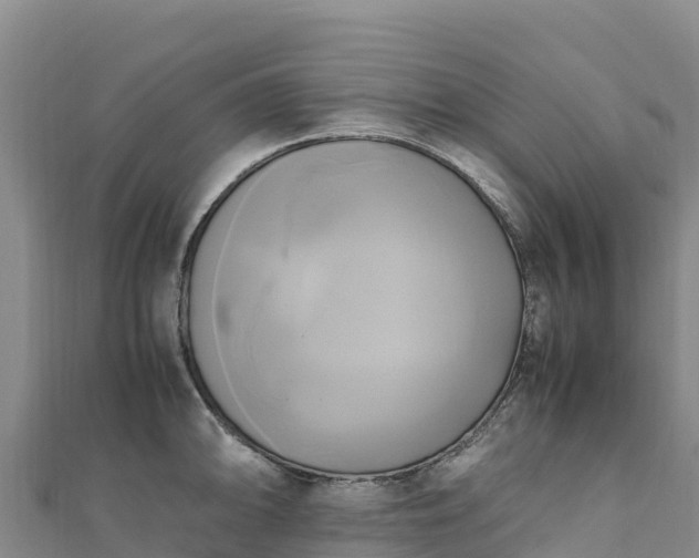 X0000110731094200906191521